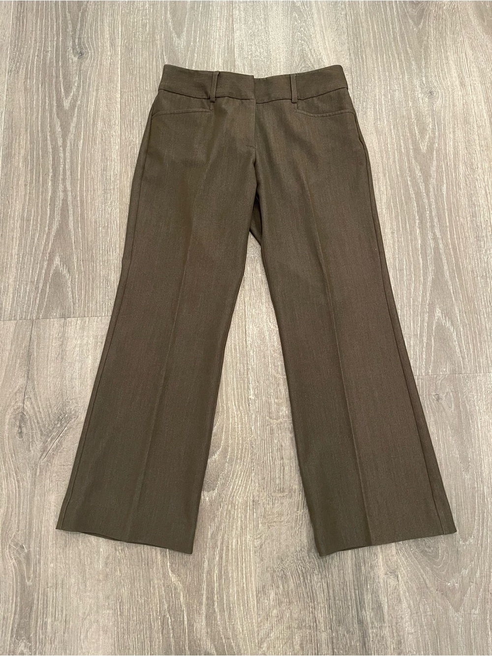 dressbarn Women's Wide-Leg Tailored Pants in Olive Green